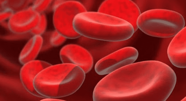 Plasma El PRP (PLASMA RICO EN PLAQUETAS) proviene de la misma sangre del paciente. Plasma El PRP (PLASMA RICO EN PLAQUETAS) proviene de la misma sangre del paciente.